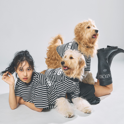 ペット服　Standing on the Blue サイズ1 小型犬 STANDING ON THE BLUE 公式オンラインショップ