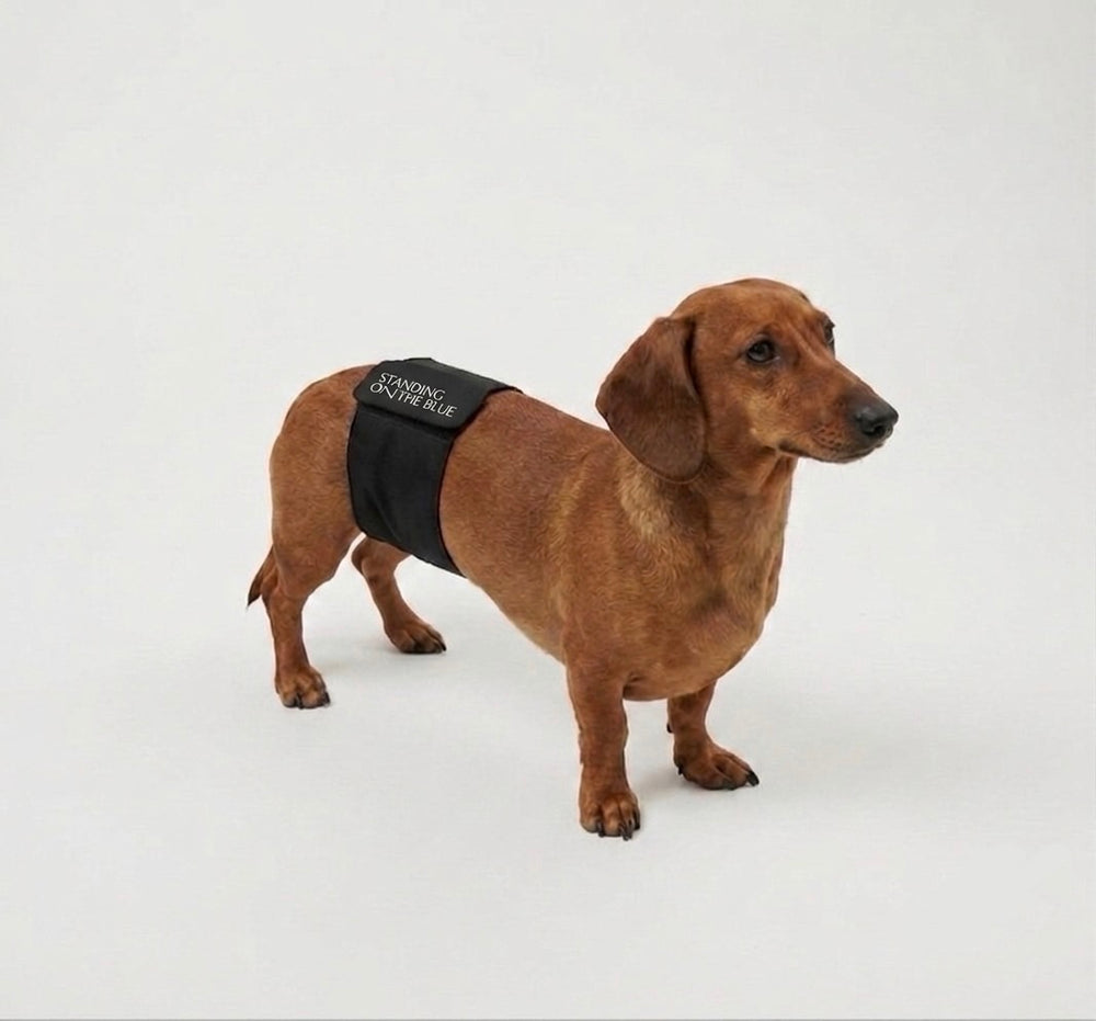 STANDING ON THE BLUE 公式オンラインショップ