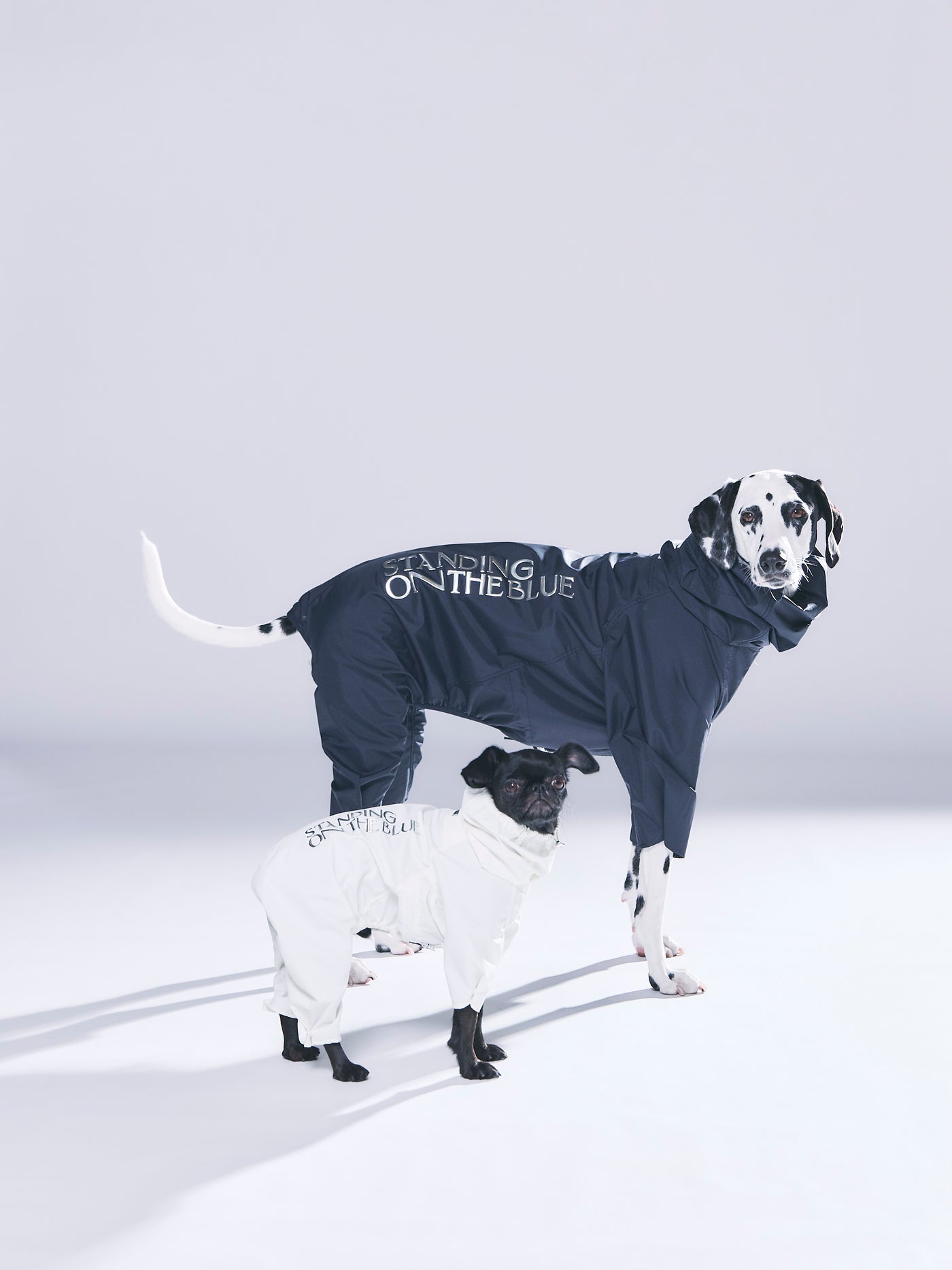 犬用 レインスーツ 撥水 防水 新作 | 雨の日 お散歩 ドッグウェア