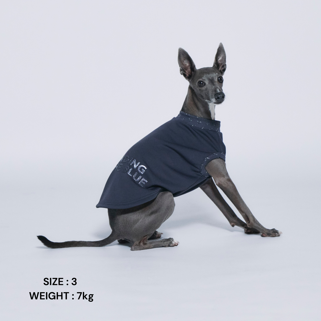 DogWear – STANDING ON THE BLUE