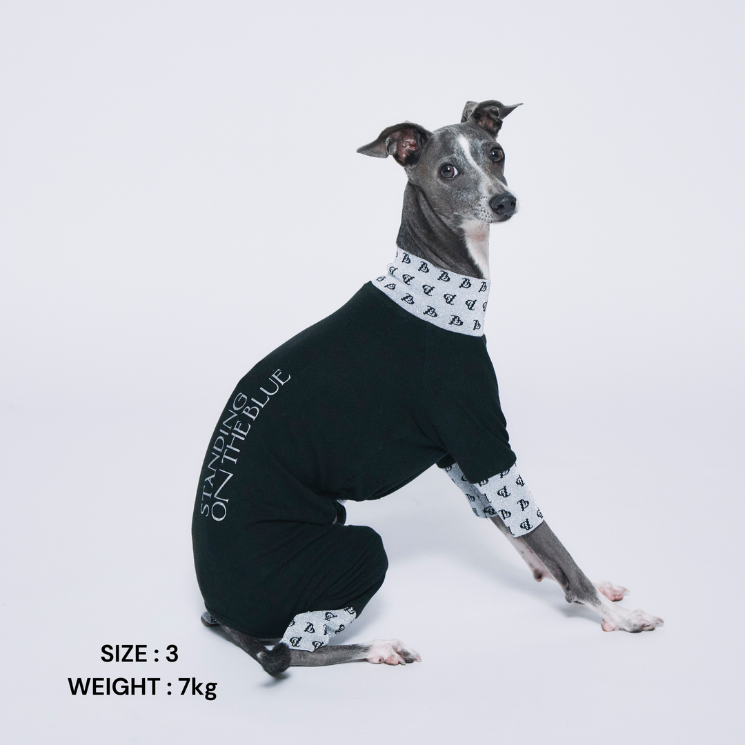 ALL – STANDING ON THE BLUE