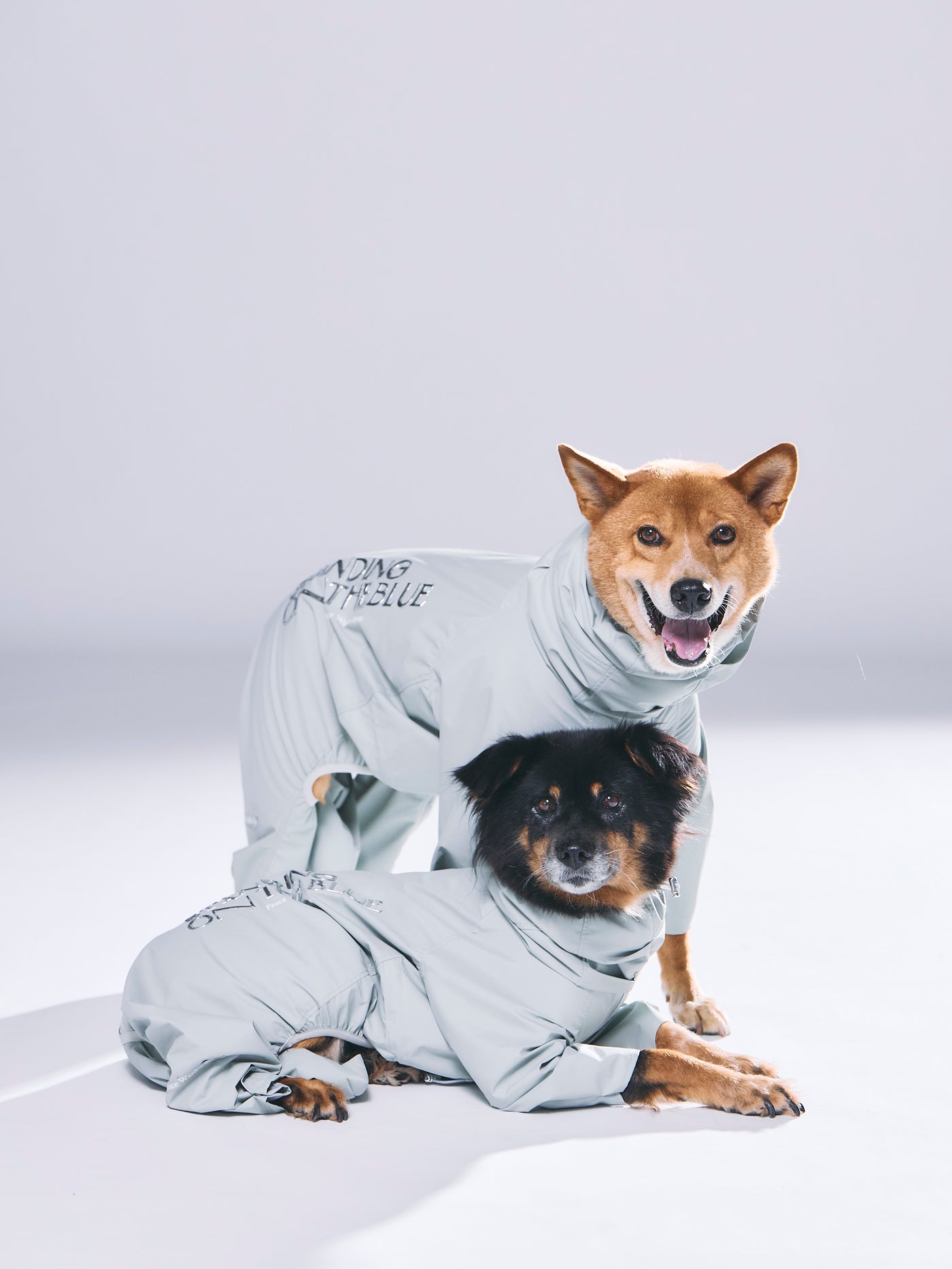 犬用 レインスーツ 撥水 防水 新作 | 雨の日 お散歩 ドッグウェア