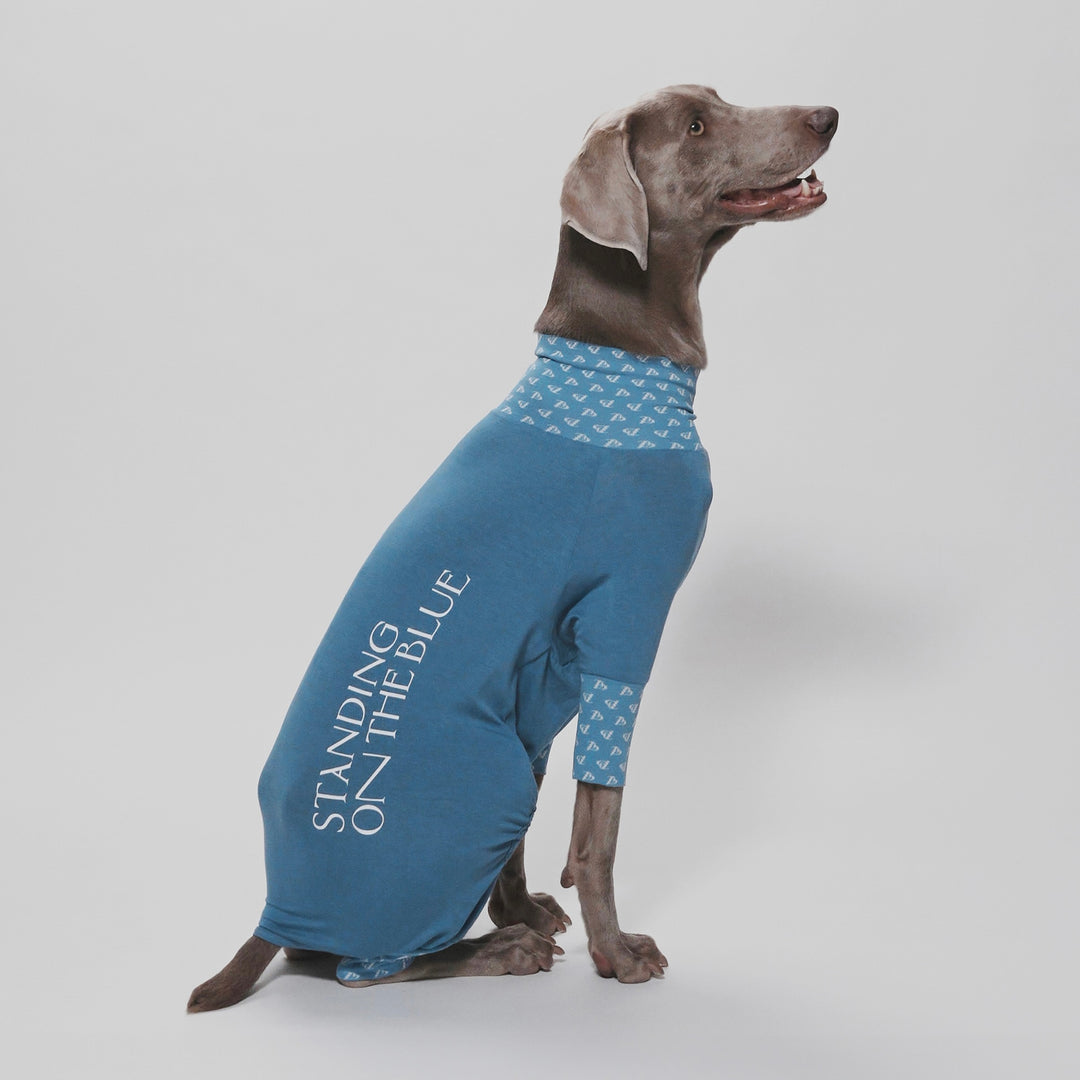 Patterned Birthday Suit – STANDING ON THE BLUE