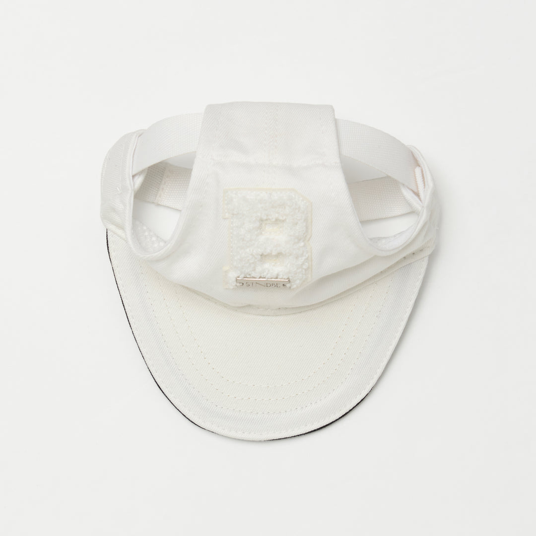 CLUB Pair Cap (dog) – STANDING ON THE BLUE
