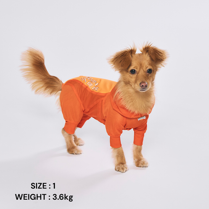犬 夏服 防虫・冷感メッシュスーツ | ドッグラン キャンプ 熱中症対策