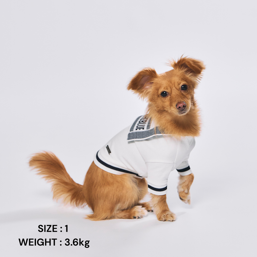 DogWear – STANDING ON THE BLUE