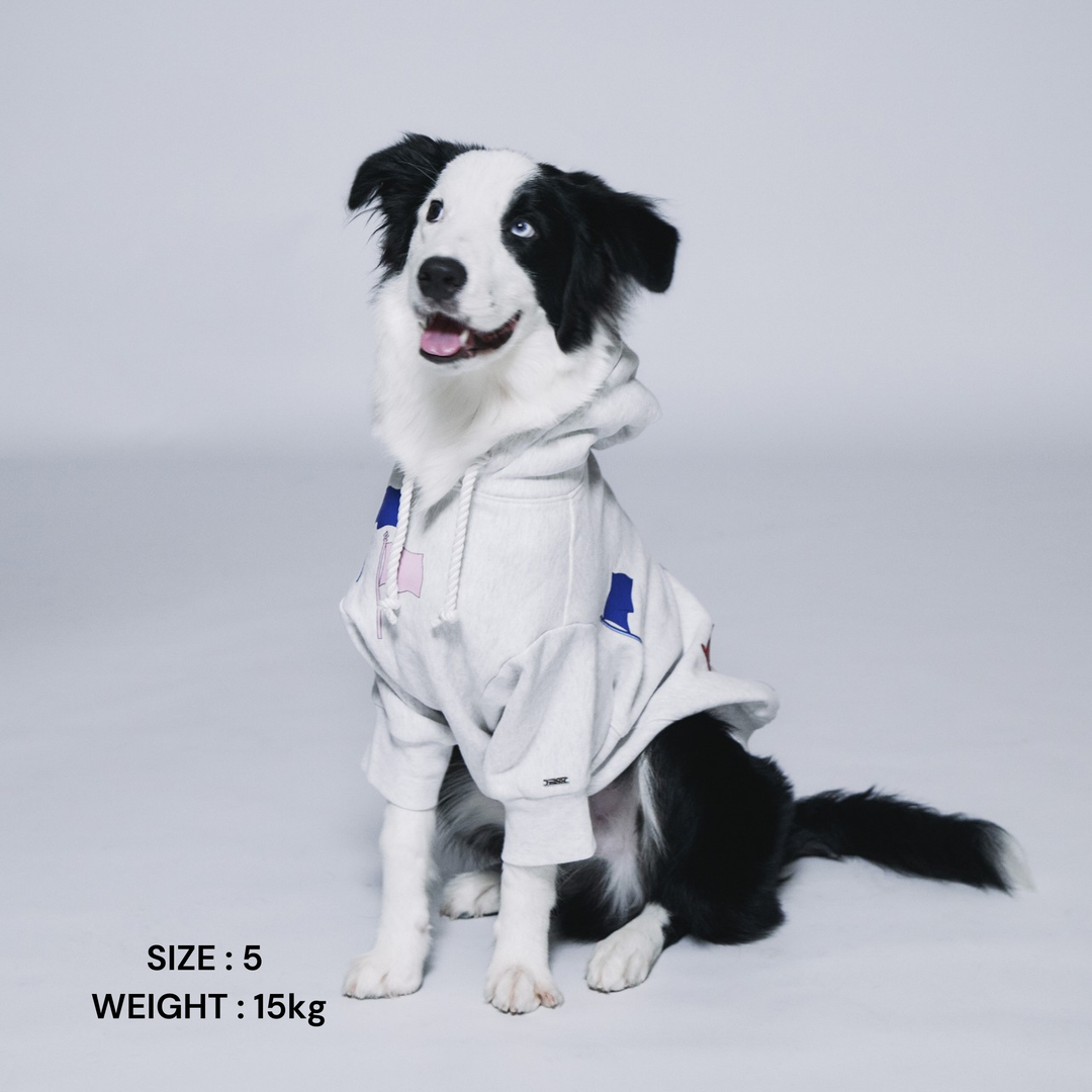 RANKING – STANDING ON THE BLUE