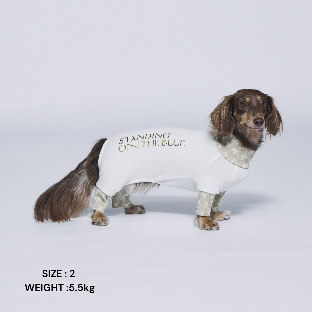 ALL – STANDING ON THE BLUE