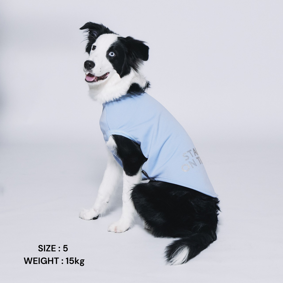 DogWear – STANDING ON THE BLUE