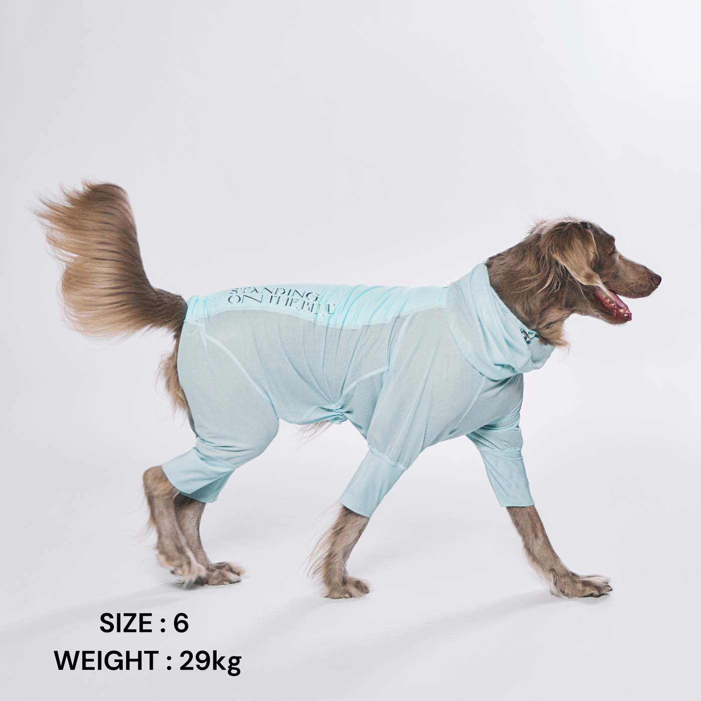 standing on the blue 夏用メッシュスーツ Cool＆Insect Mesh Suit – STANDING ON THE BLUE