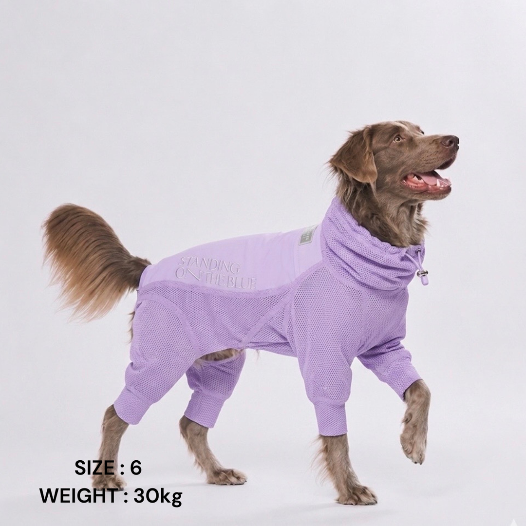standing on the blue 夏用メッシュスーツ 犬 夏服 防虫・冷感メッシュスーツ | ドッグラン キャンプ 熱中症対策