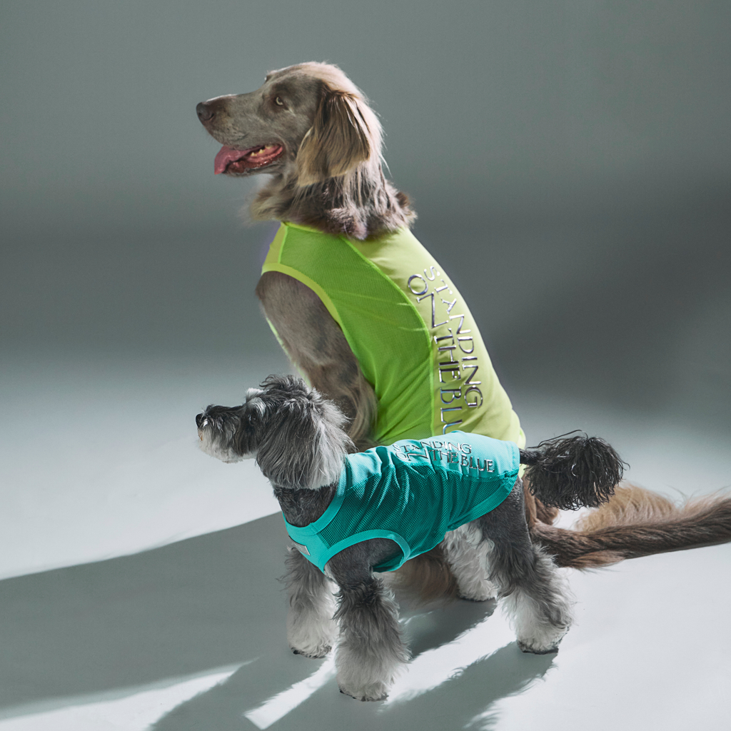 犬用 冷感タンク UVカット 夏 | 熱中症対策 お散歩 ドッグウェア