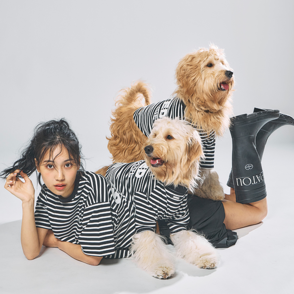 ペット服　Standing on the Blue サイズ1 小型犬 Pair Wear – STANDING ON THE BLUE