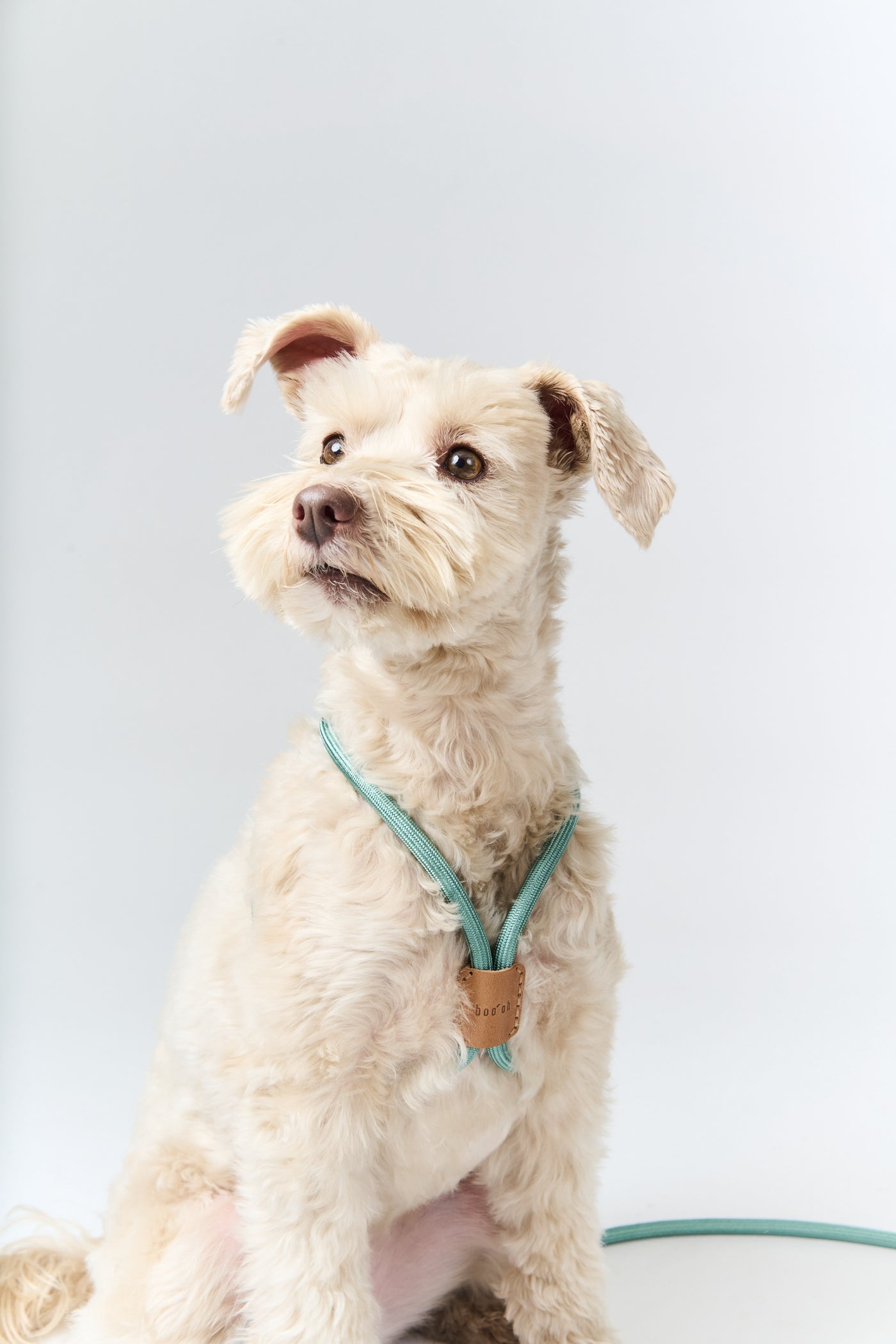 【Boo Oh】RAY HARNESS