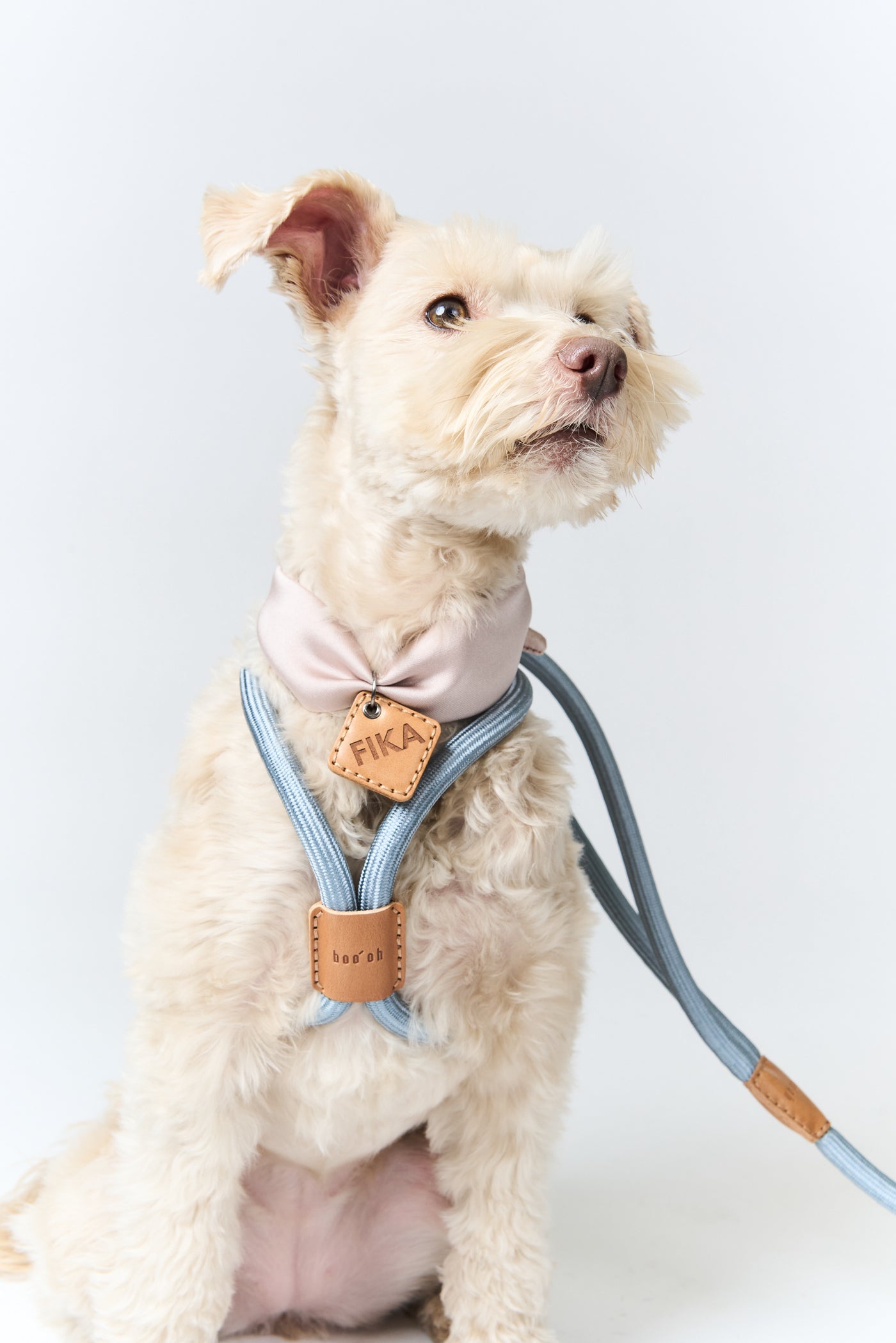 【Boo Oh】RAY HARNESS