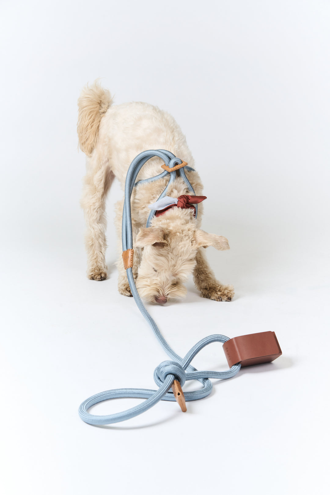 Boo Oh】RAY HARNESS – STANDING ON THE BLUE