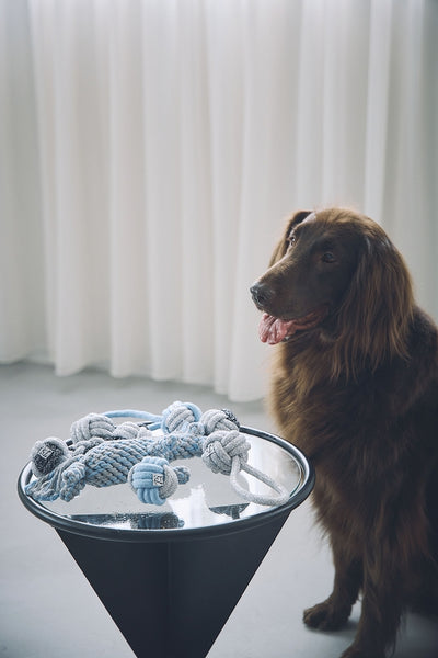 Rope Toy