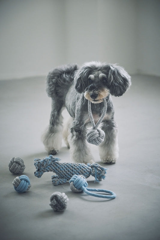 Rope Toy