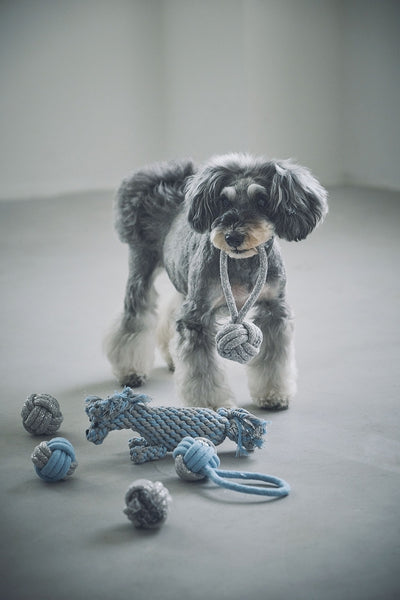 Rope Toy