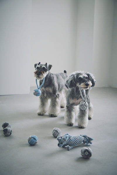 Rope Toy