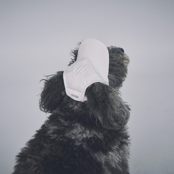 Pair Cap (Dog) – STANDING ON THE BLUE