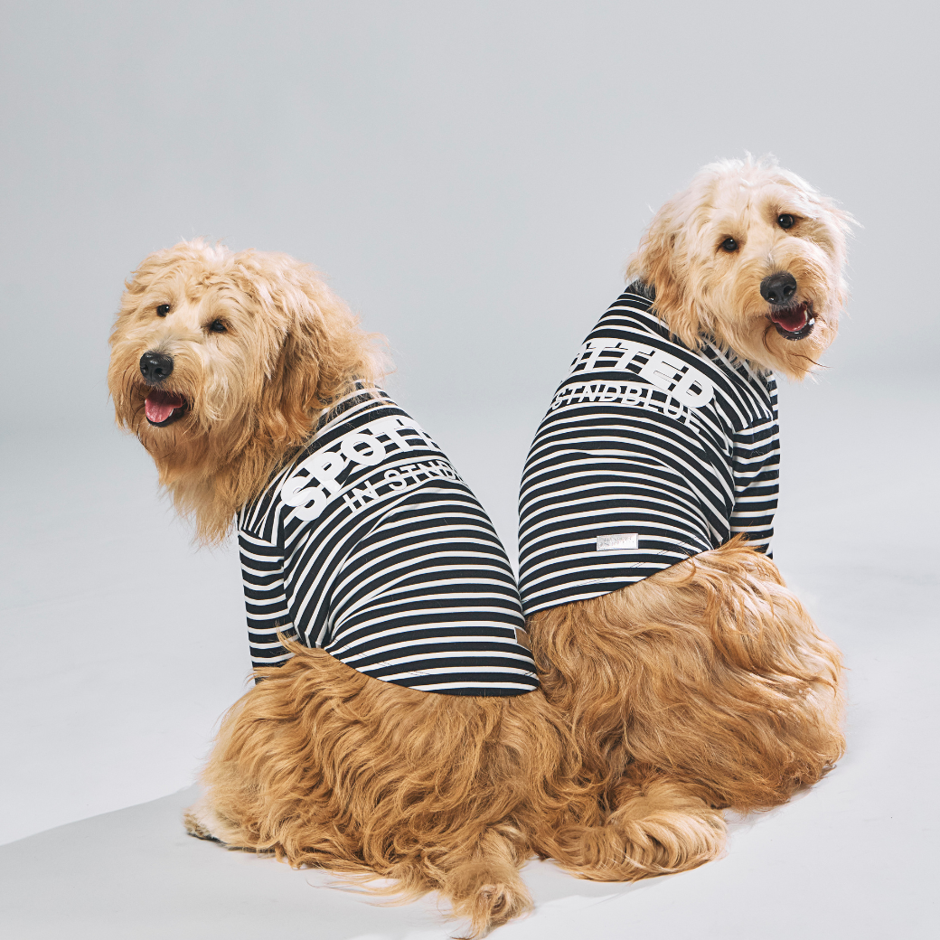 DogWear – STANDING ON THE BLUE