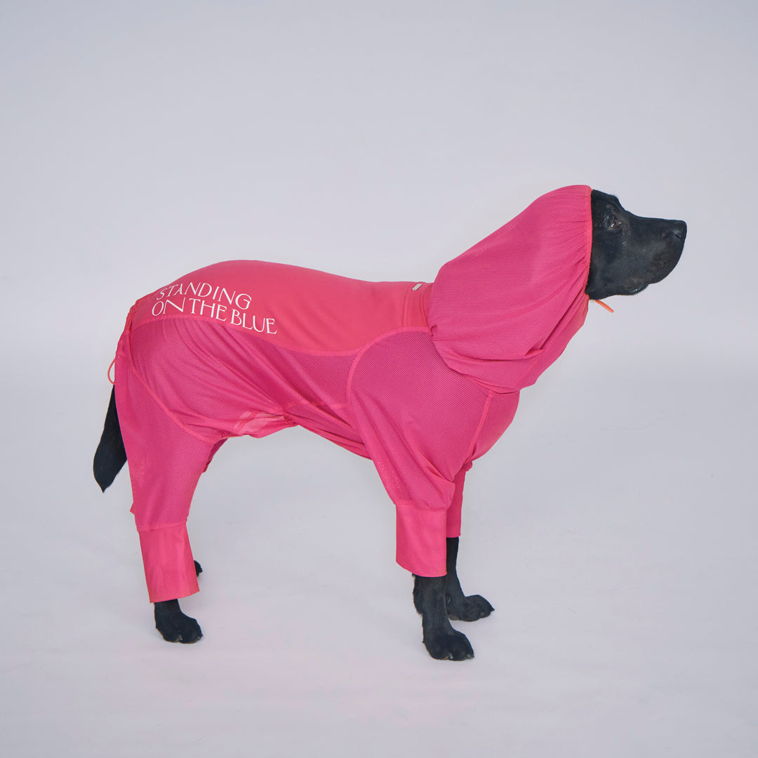 Cool＆Insect Mesh Suit – STANDING ON THE BLUE