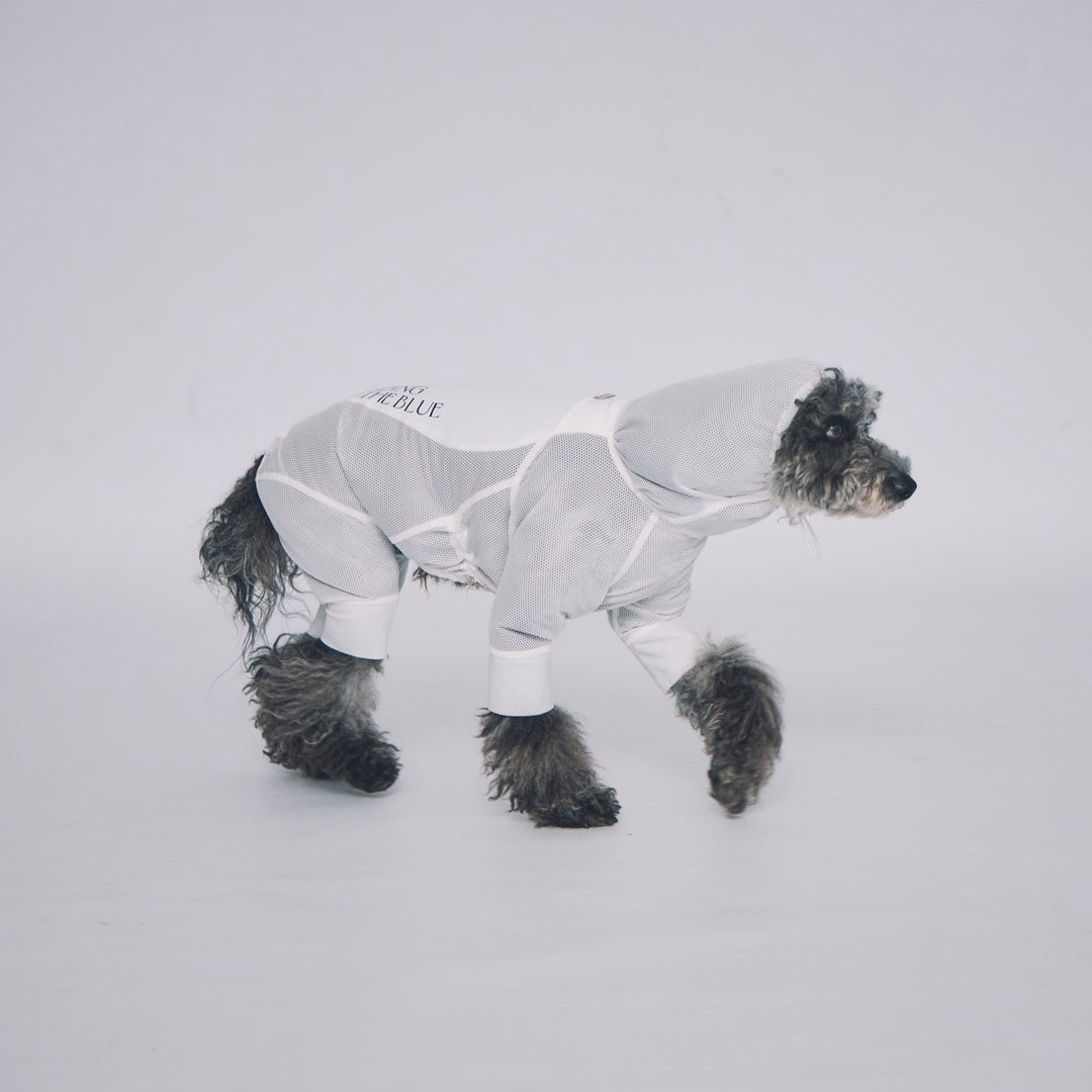 Cool＆Insect Mesh Suit – STANDING ON THE BLUE