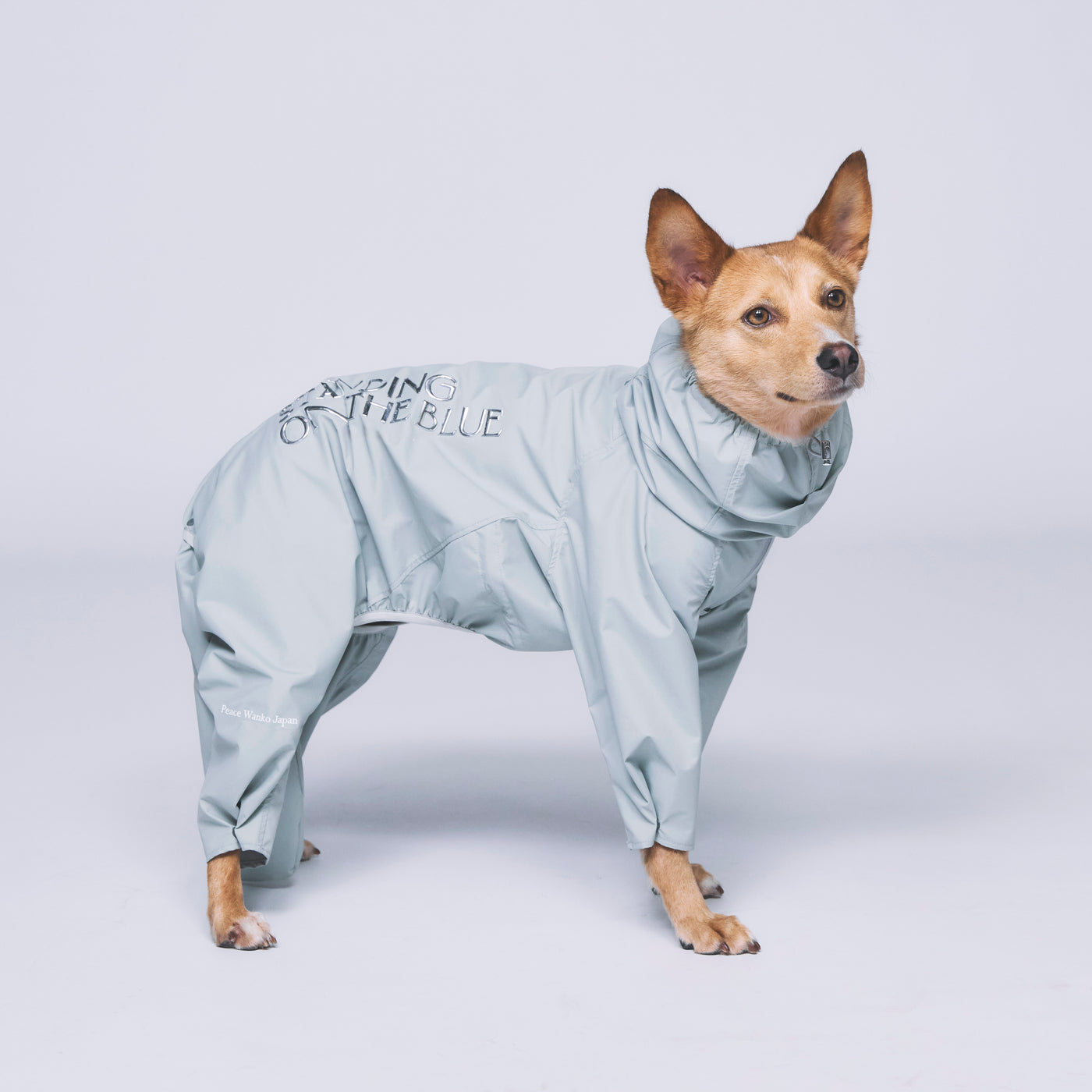 犬用 レインスーツ 撥水 防水 新作 | 雨の日 お散歩 ドッグウェア