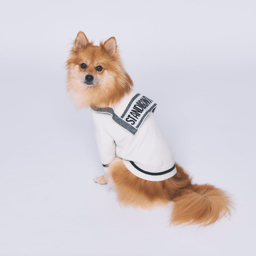 犬用 セーラーニット 大きな襲 ネイビー | 小型犬 中型犬 ドッグウェア