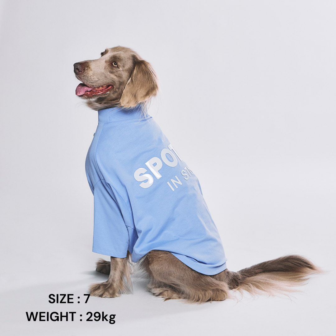 DogWear – STANDING ON THE BLUE