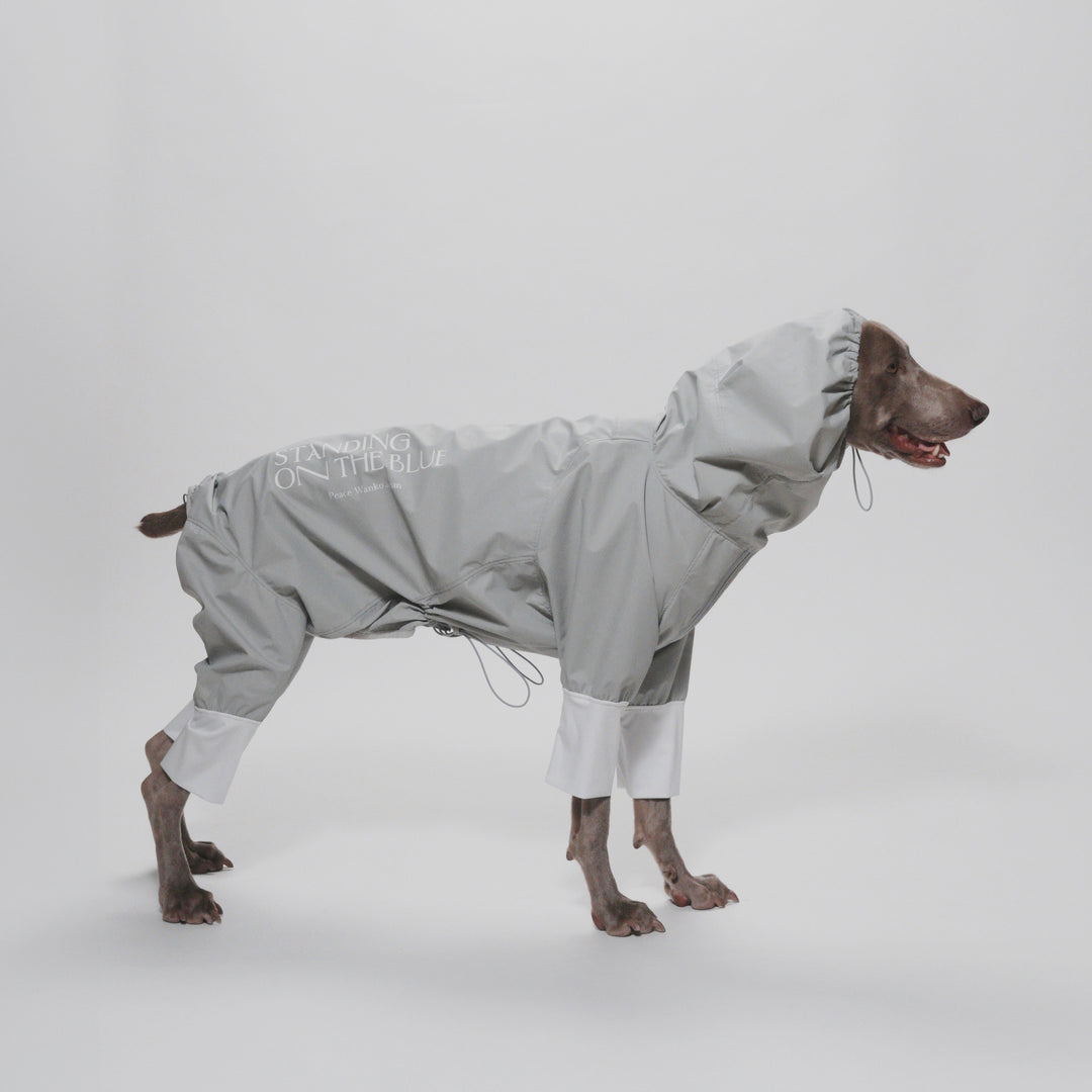 STANDING ON THE BLUE ロンパース 注文 スタンディングオンザブルー 犬