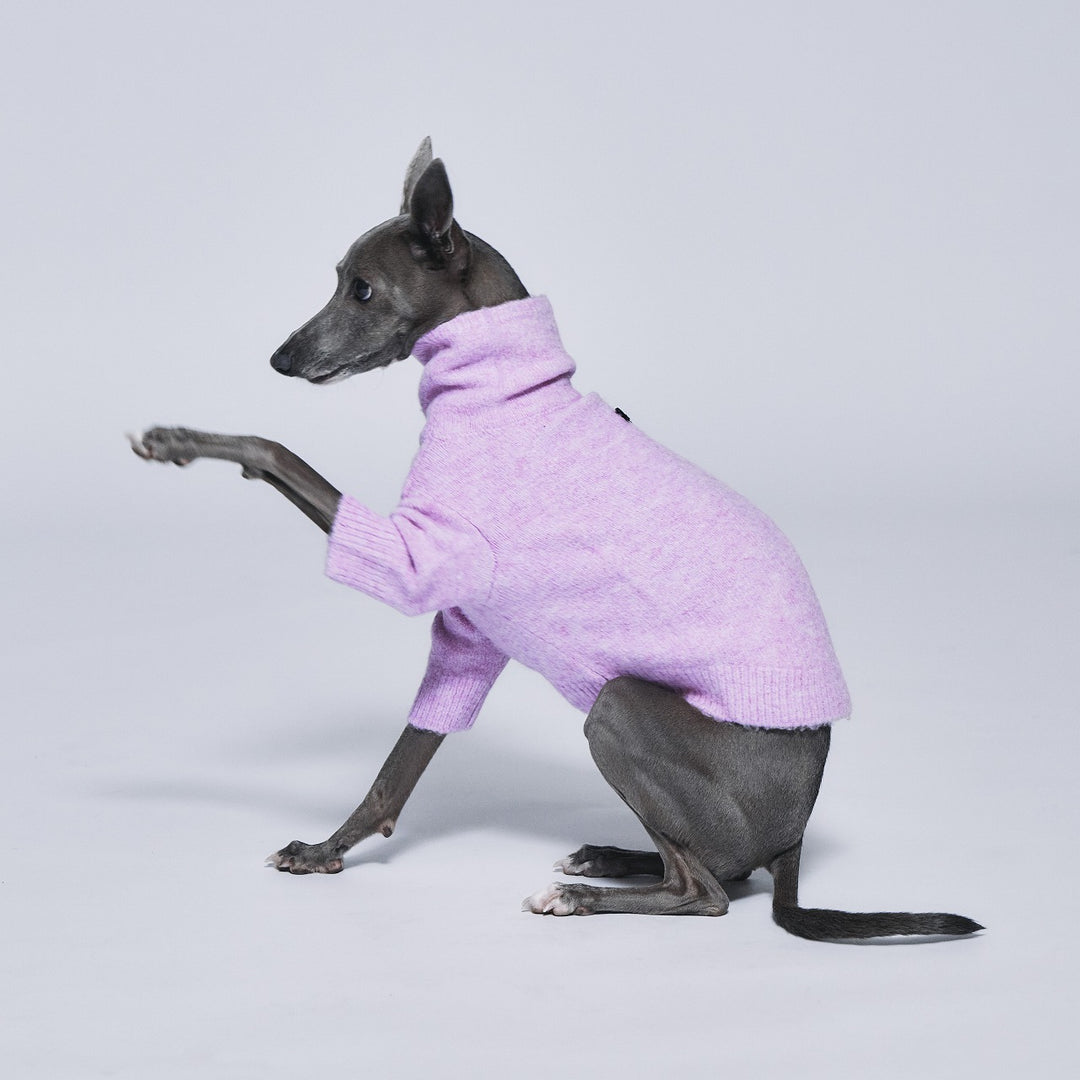 standing on the blue ピンクメッシュスーツ RANKING – STANDING ON THE BLUE