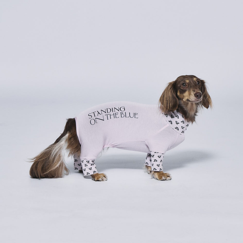 DogWear – STANDING ON THE BLUE