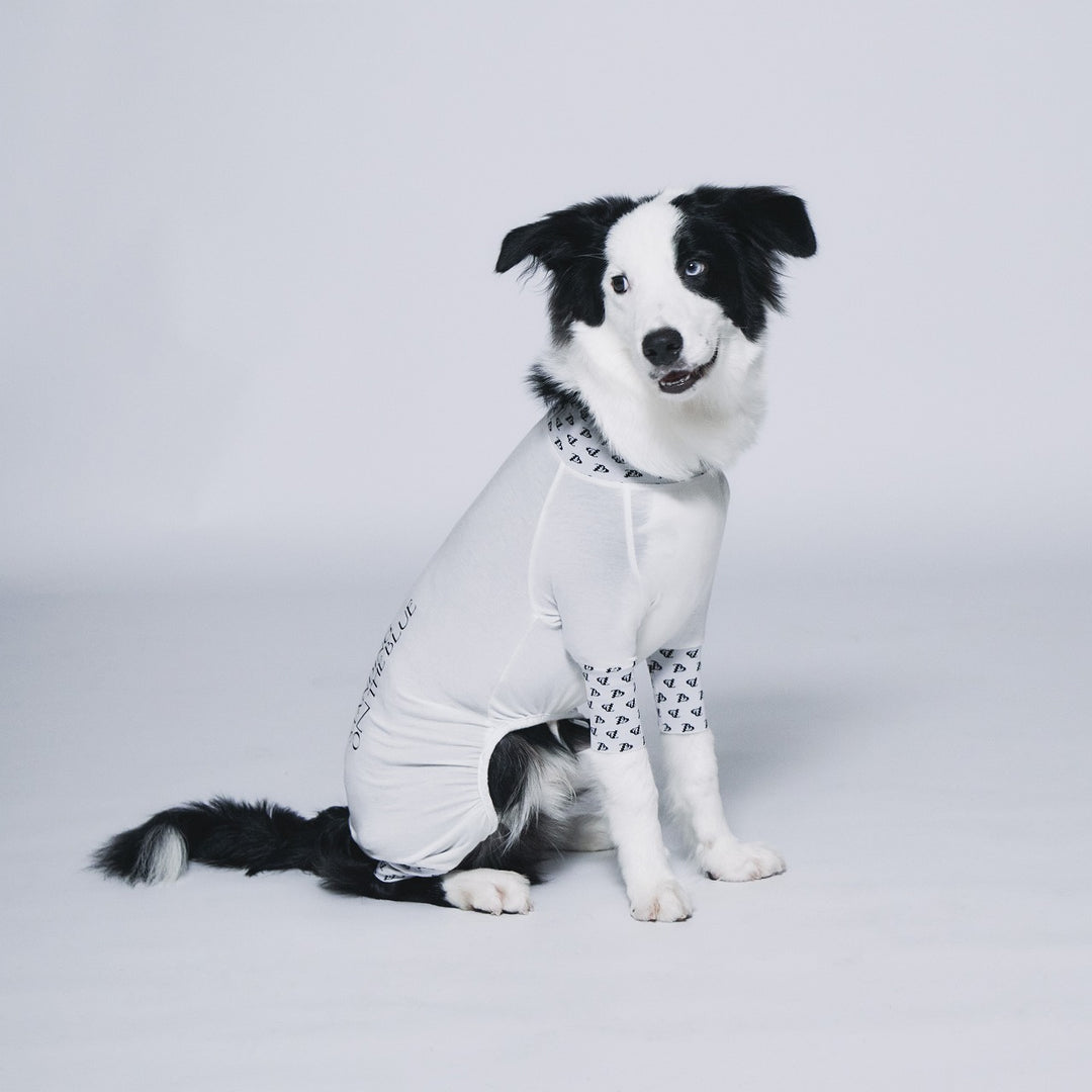 パピリーヒルズ 犬服 Tuxedo set up 黒と白のストライプ パピリーヒルズ 犬服 Tuxedo set up 黒と白のストライプ パピ