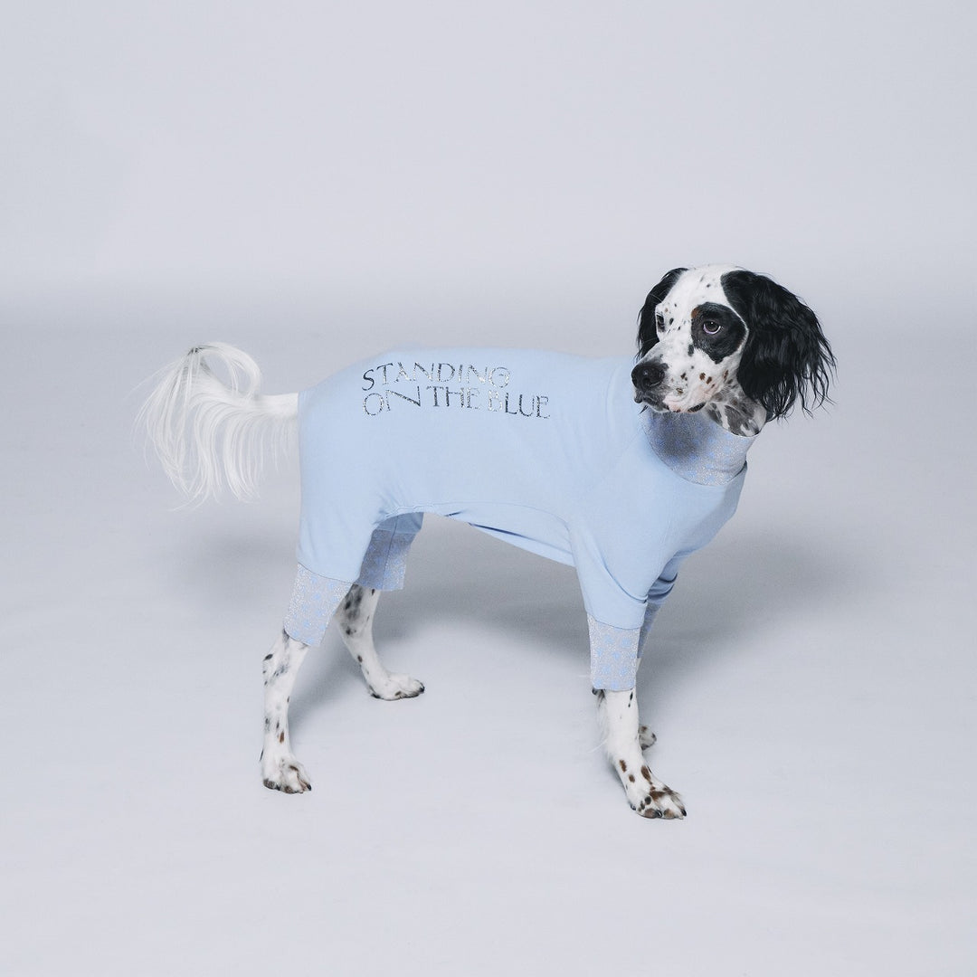 STANDING ON THE BLUE 犬用レインコート ペットブランド STANDING ON THE BLUE「殺処分ゼロ」を目指す