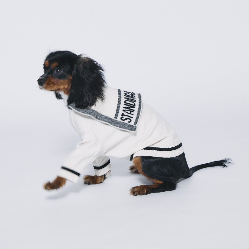 DogWear – STANDING ON THE BLUE