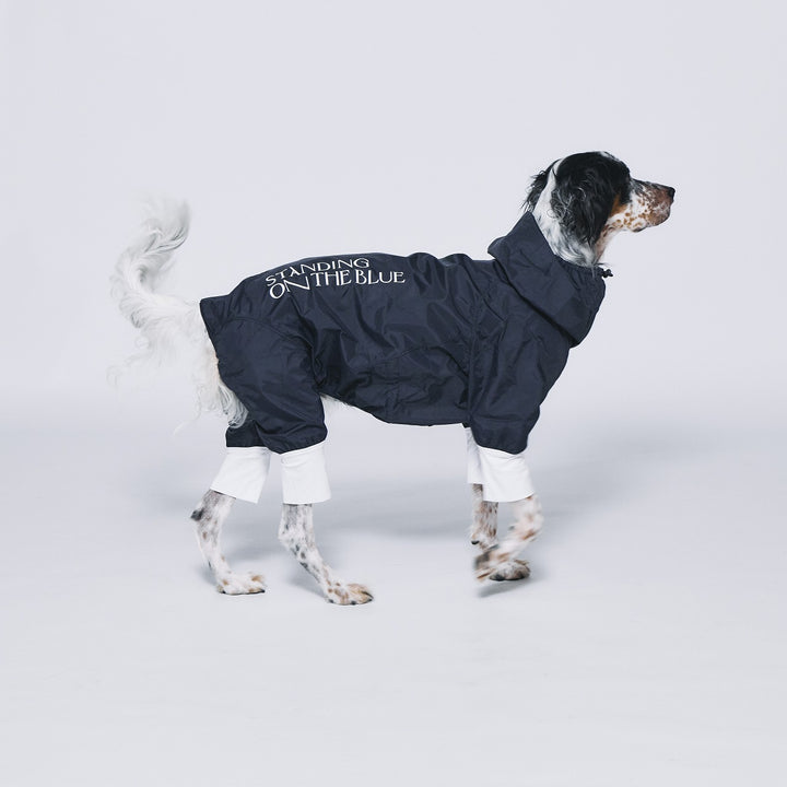 STANDING ON THE BLUE 犬用レインコート Ultra Rain Suit – STANDING