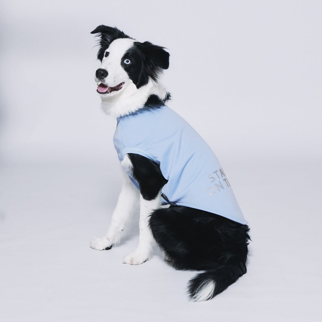 BLUE DOG ブルードッグ　サイン入り BLUE DOG ブルードッグ サイン入り - メルカリ