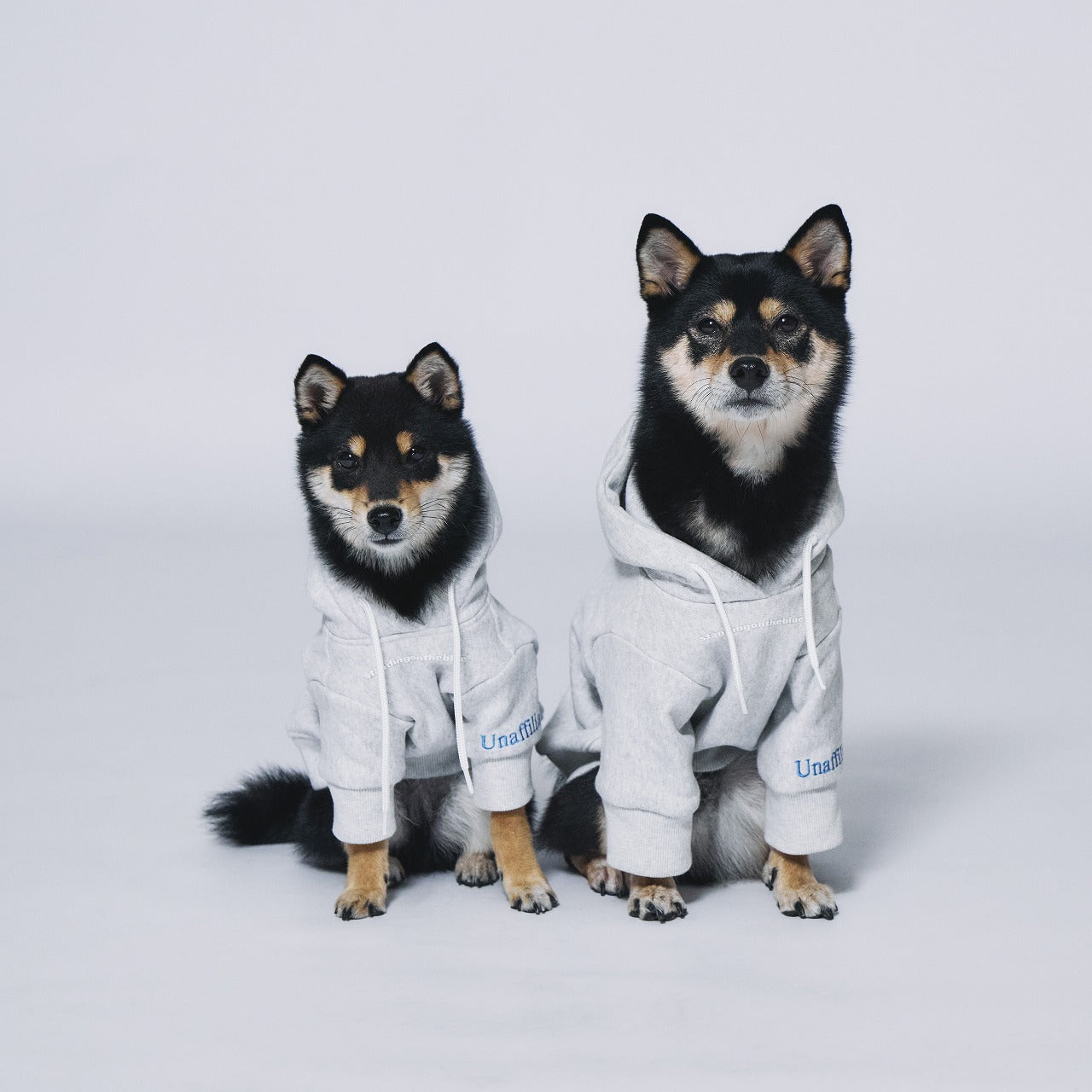 STND BLUE Pair Hoodie (Dog)
