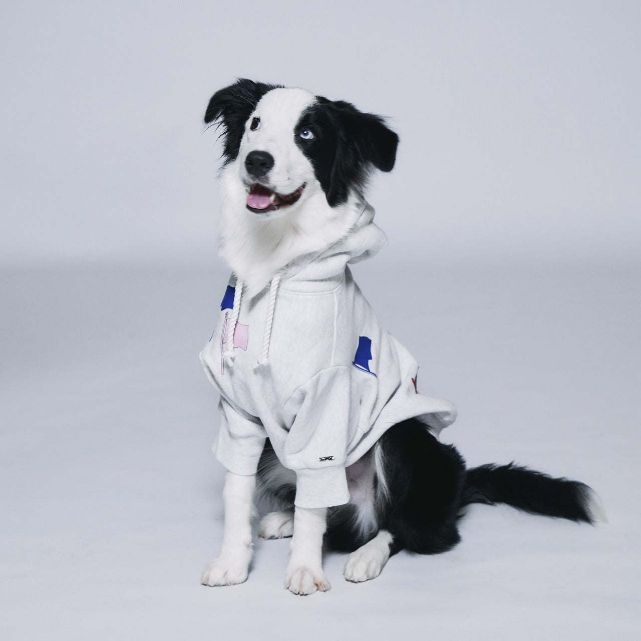 Flags Pair Hoodie (Dog)