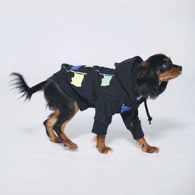 Flags Pair Hoodie (Dog)