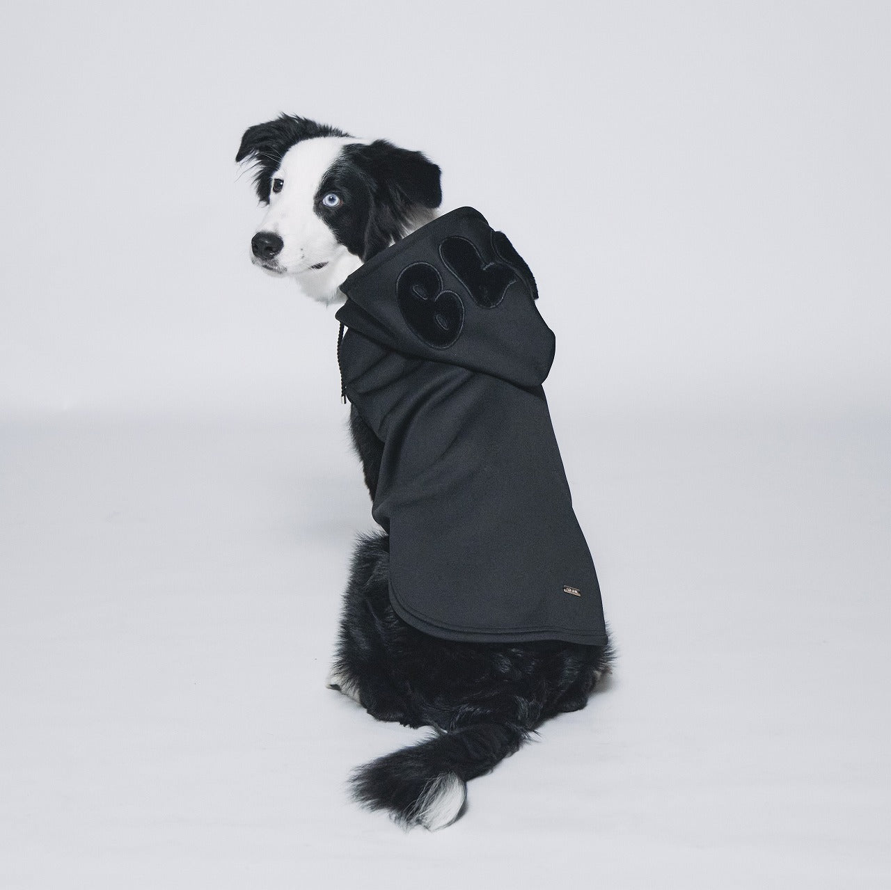 Boa logo Pair Hoodie (Dog)