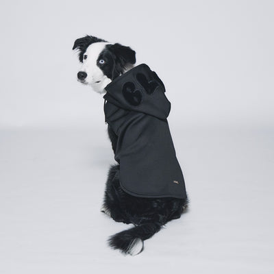 Boa logo Pair Hoodie (Dog)