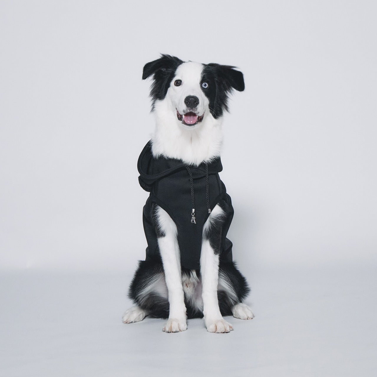 Boa logo Pair Hoodie (Dog)