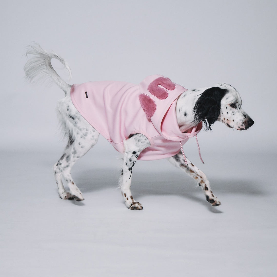 DogWear – STANDING ON THE BLUE