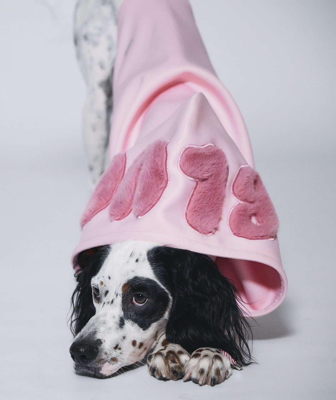 Boa logo Pair Hoodie (Dog)