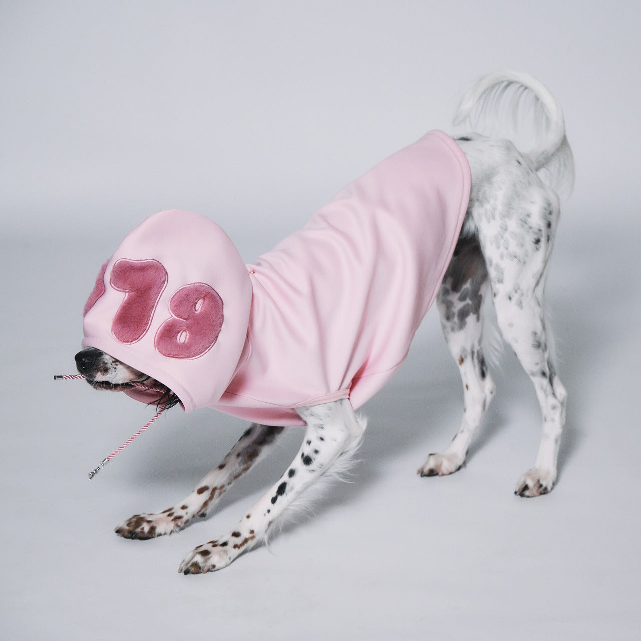 Boa logo Pair Hoodie (Dog)