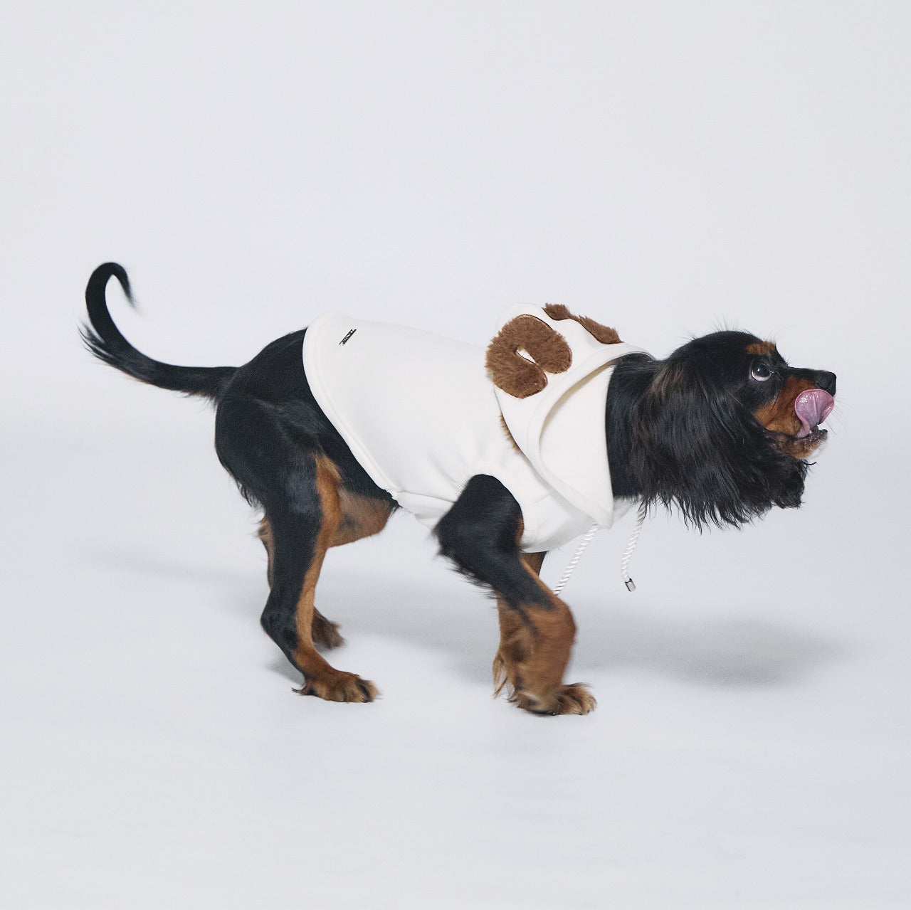 Boa logo Pair Hoodie (Dog)