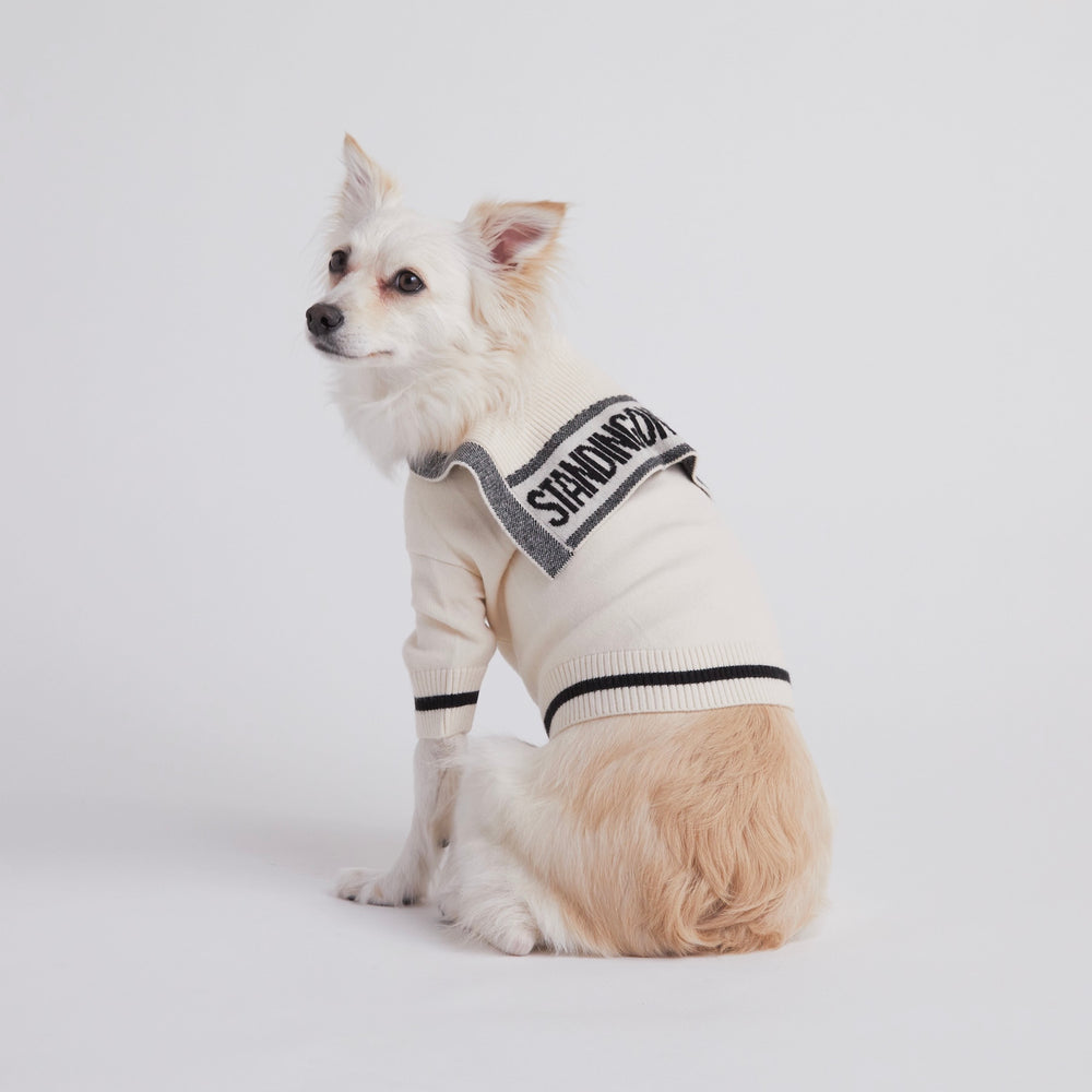 DogWear – STANDING ON THE BLUE